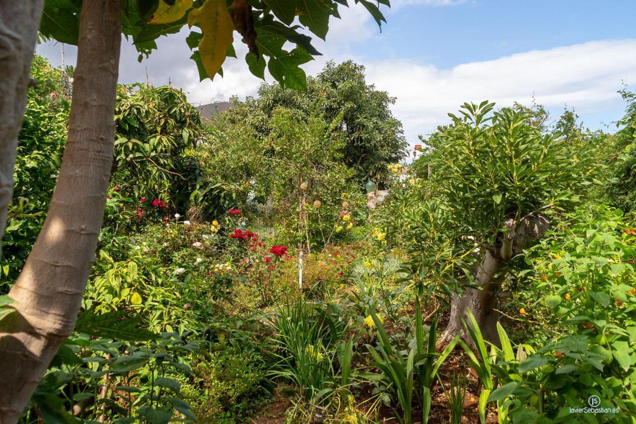 Bodega Goyo Apartment Puntallana Ngoại thất bức ảnh