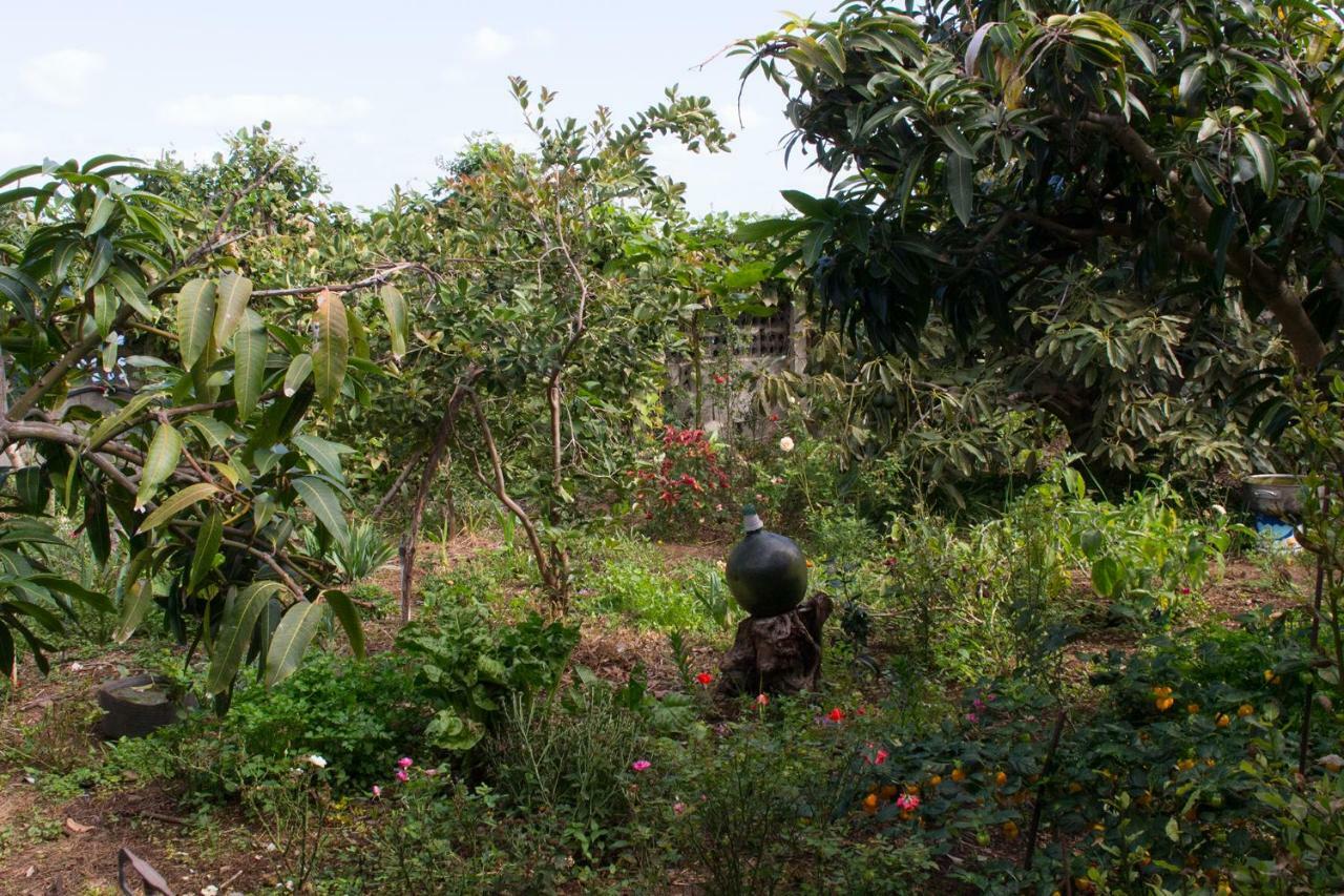 Bodega Goyo Apartment Puntallana Ngoại thất bức ảnh