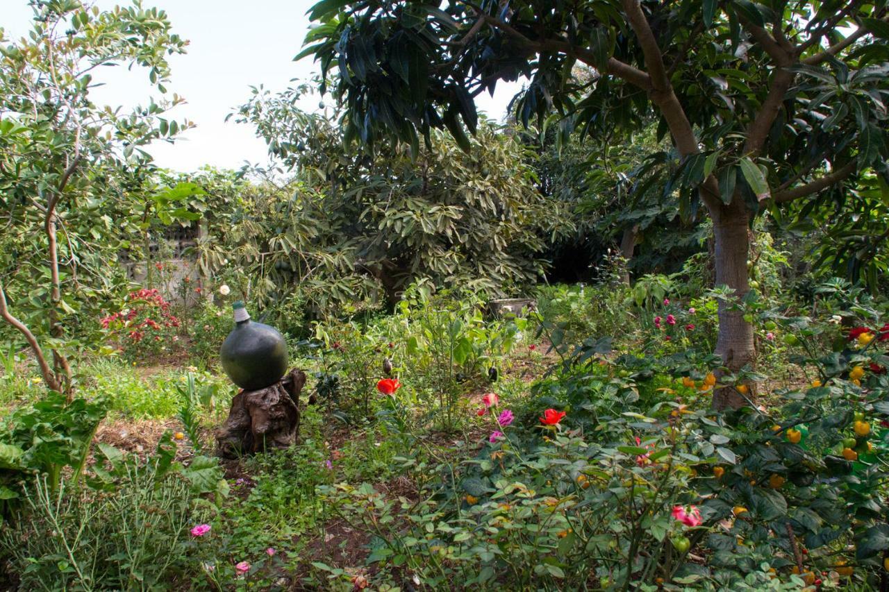 Bodega Goyo Apartment Puntallana Ngoại thất bức ảnh